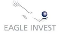 eagle_invest_logo